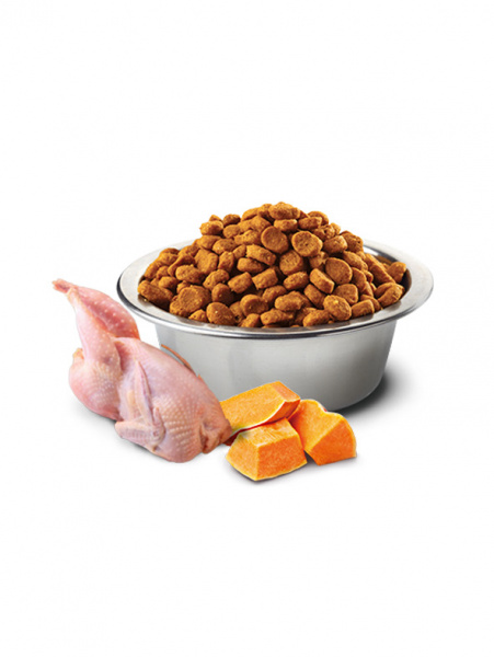 Farmina N&D Pumpkin Dog Grain Free Adult Mini купить в ZooKorm24.ru
