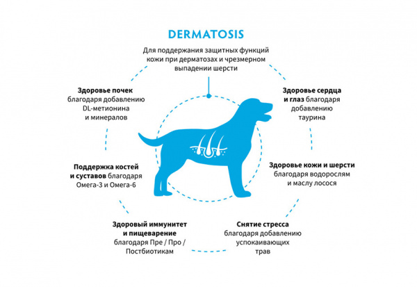 Grandorf Dog Vet Dermatosis купить в ZooKorm24.ru