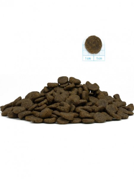 FORZA10 Dog Mini Diet купить в ZooKorm24.ru
