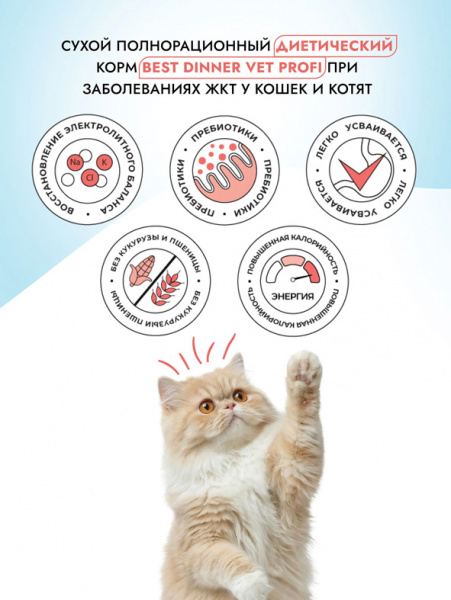 Best Dinner Cat Vet Profi Gastrointestinal купить в ZooKorm24.ru