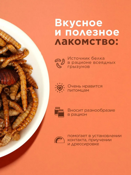 Little One Лакомство смесь насекомых для всеядных грызунов, 75гр