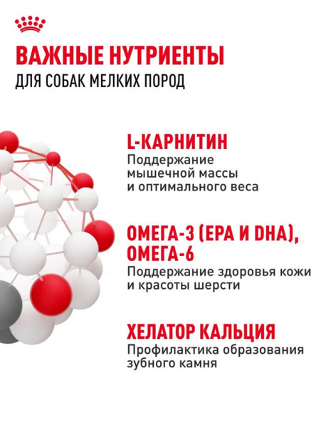 Royal Canin Mini Adult купить в ZooKorm24.ru
