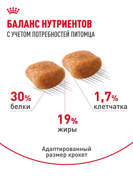 Royal Canin Poodle Adult купить в ZooKorm24.ru
