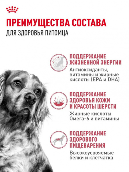 Royal Canin Medium Adult 7+ купить в ZooKorm24.ru
