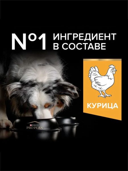 Pro Plan Medium Adult Everyday Nutrition купить в ZooKorm24.ru
