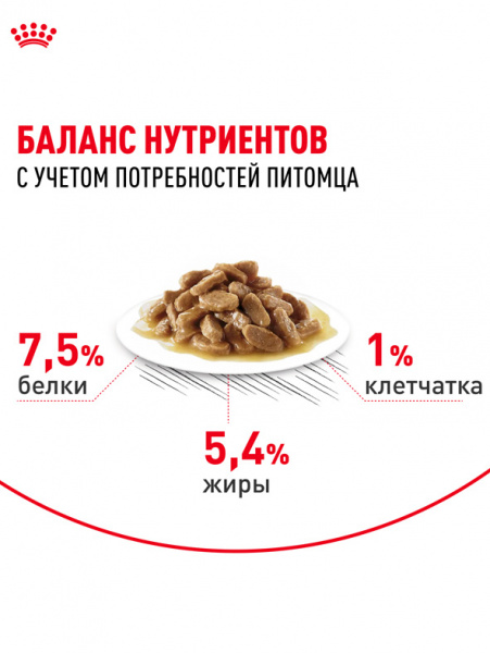 Royal Canin Medium Adult купить в ZooKorm24.ru
