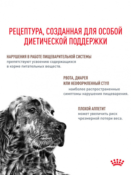 Royal Canin Gastrointestinal паштет купить в ZooKorm24.ru
