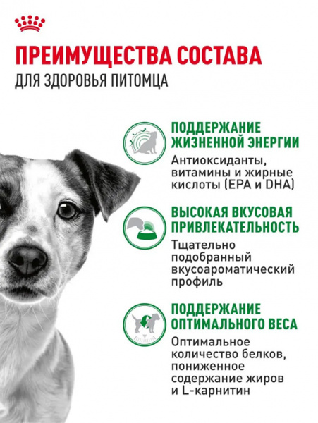 Royal Canin Mini Adult 8+ купить в ZooKorm24
