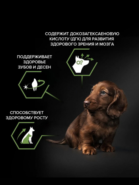 Pro Plan Small&Mini Puppy Healthy Start  купить в ZooKorm24.ru
