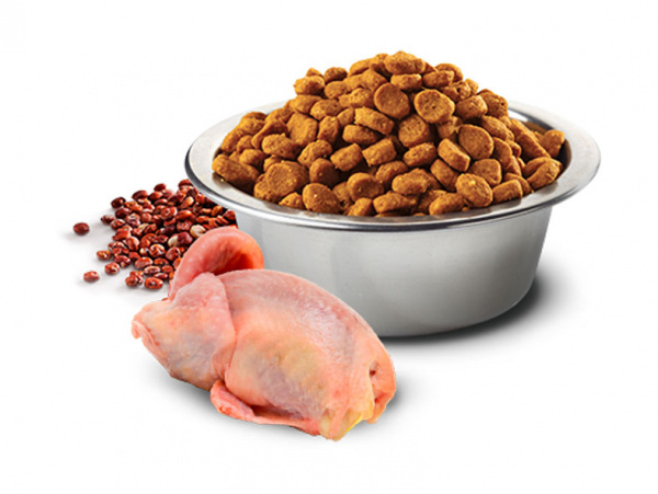 Farmina N&D Quinoa Cat Grain Free Skin&Coat купить в ZooKorm24.ru
