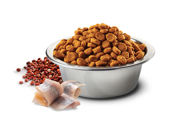 Farmina N&D Quinoa Cat Grain Free Skin&Coat купить в ZooKorm24.ru
