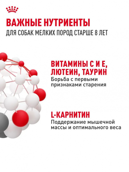 Royal Canin Mini Adult 8+ купить в ZooKorm24