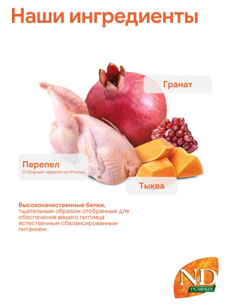 Farmina N&D Pumpkin Dog Grain Free Adult Mini купить в ZooKorm24.ru
