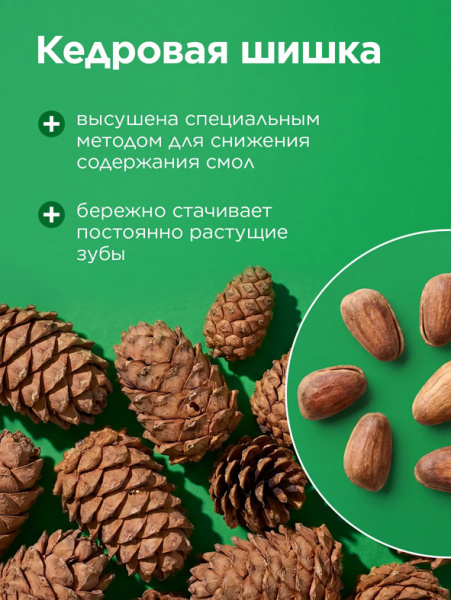 Little One Лакомство-игрушка Кедровая шишка для грызунов, 50гр