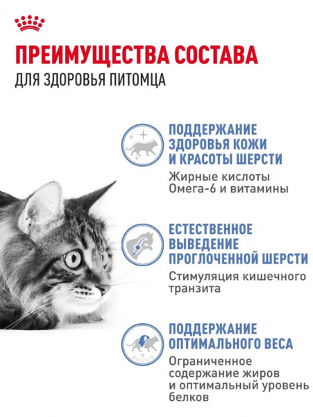 Royal Canin Indoor Long Hair купить в ZooKorm24.ru
