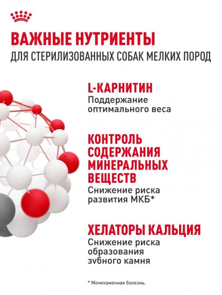 Royal Canin Mini Sterilised купить в ZooKorm24.ru
