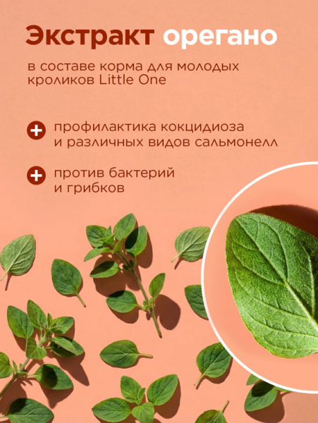 Little One Корм для молодых кроликов