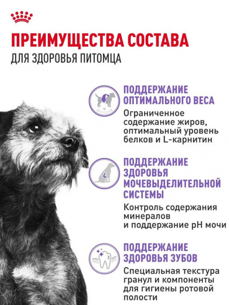 Royal Canin Mini Sterilised купить в ZooKorm24.ru
