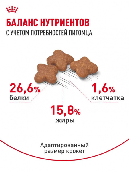 Royal Canin Mini Adult 8+ купить в ZooKorm24