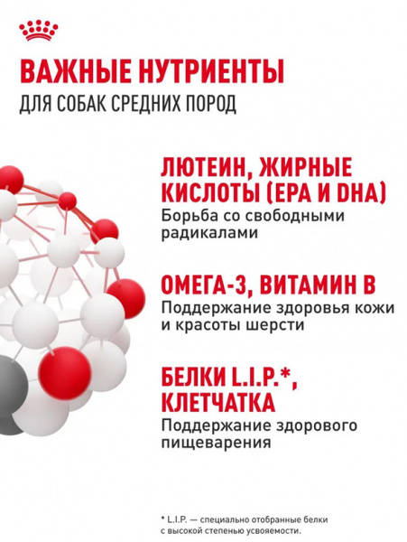 Royal Canin Medium Adult 7+ купить в ZooKorm24.ru
