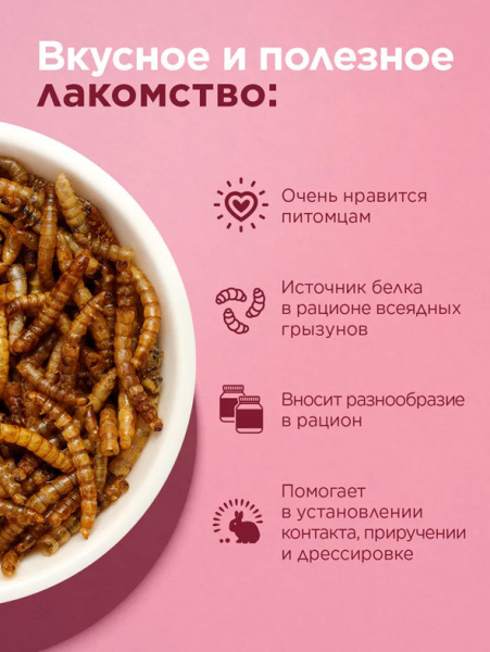 Little One Лакомство мучной червь для всеядных грызунов, 70гр