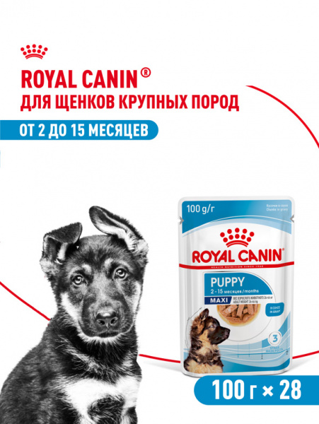 Royal Canin Maxi Puppy купить в ZooKorm24.ru
