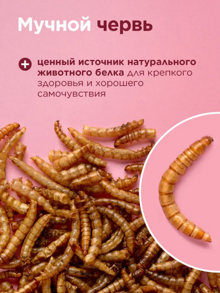 Little One Лакомство мучной червь для всеядных грызунов, 70гр