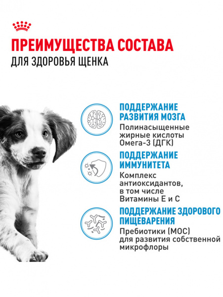 Royal Canin Medium Puppy купить в ZooKorm24.ru