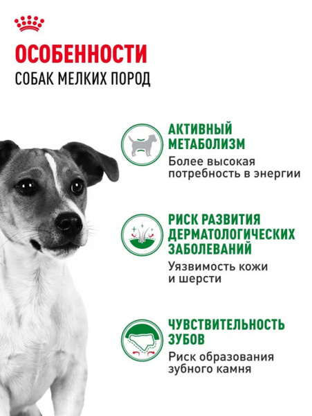 Royal Canin Mini Adult купить в ZooKorm24.ru

