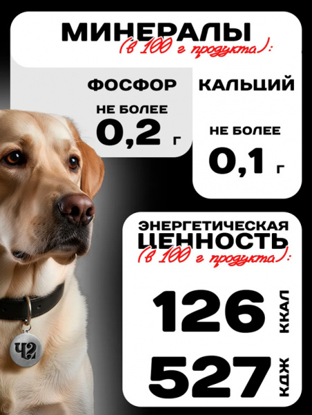 Четвероногий Гурман Platinum Line Консервы для взрослых собак, калтыки и языки в желе