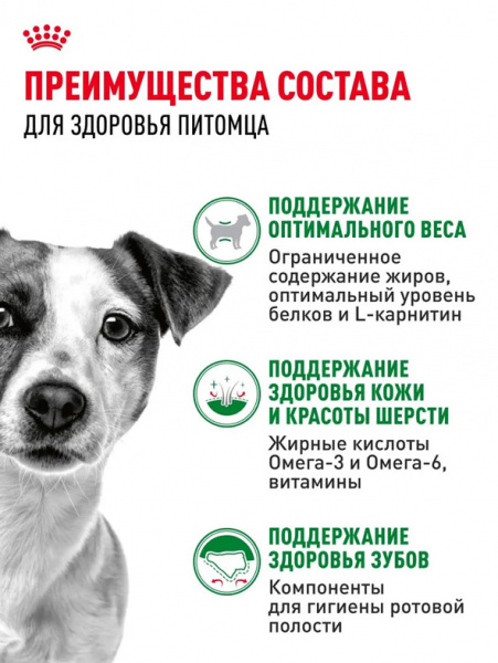 Royal Canin Mini Adult купить в ZooKorm24.ru
