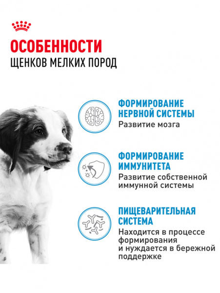 Royal Canin Medium Puppy купить в ZooKorm24.ru