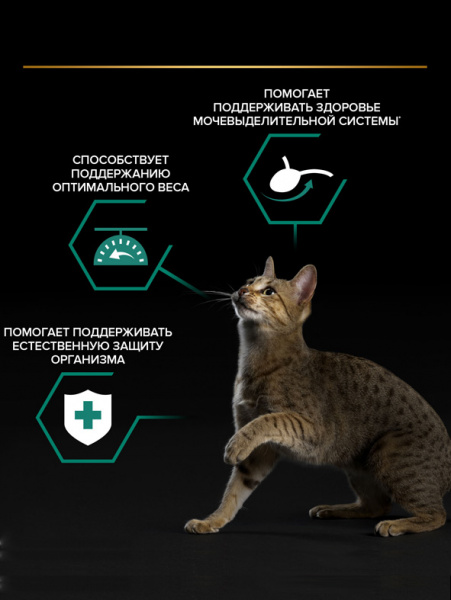 Pro Plan Sterilised Maintenance влажный корм для взрослых стерилизованных кошек, индейка, кусочки в желе, паучи