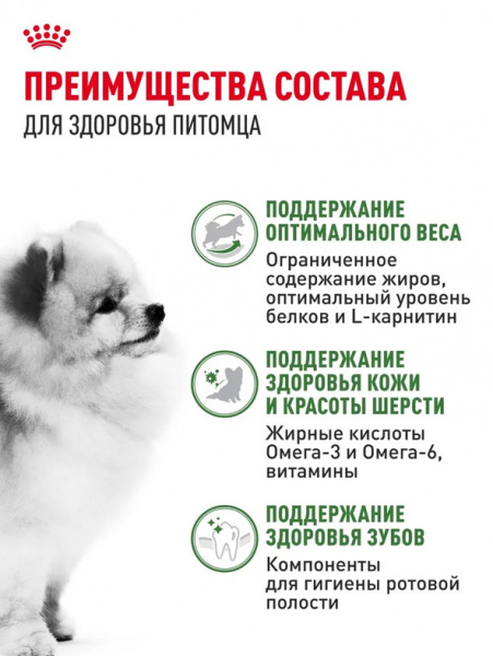 Royal Canin Mini Indoor Adult купить в ZooKorm24.ru
