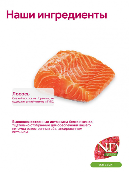 Farmina N&D Quinoa Cat Cream Здоровая кожа Крем-суп для кошек с лососем, 60гр
