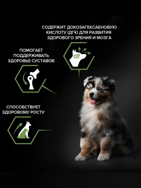 Pro Plan Medium Puppy Healthy Start купить в ZooKorm24.ru
