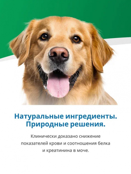 Farmina Vet Life Canine Renal купить в ZooKorm24.ru