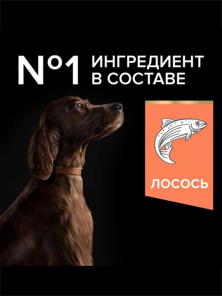 Pro Plan Large Athletic Adult Sensitive Skin купить в ZooKorm24.ru
