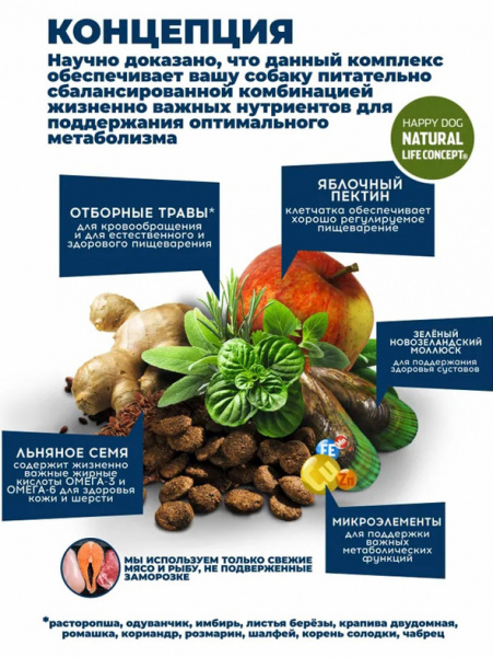 Happy Dog Junior Original купить в ZooKorm24.ru

