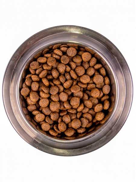 Monge Dog Daily Line Puppy&Junior Maxi купить в ZooKorm24.ru

