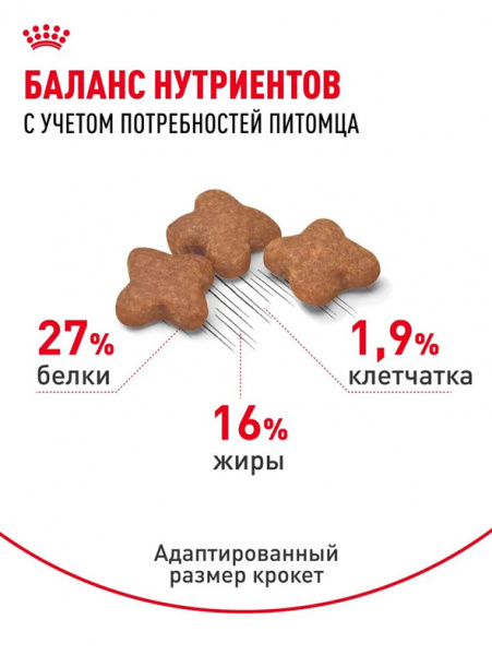 Royal Canin Mini Adult купить в ZooKorm24.ru
