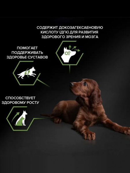 Pro Plan Large Athletic Puppy Healthy Start купить в ZooKorm24.ru
