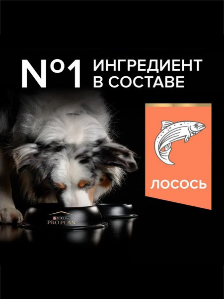 Pro Plan Medium Adult Sensitive Skin купить в ZooKorm24.ru
