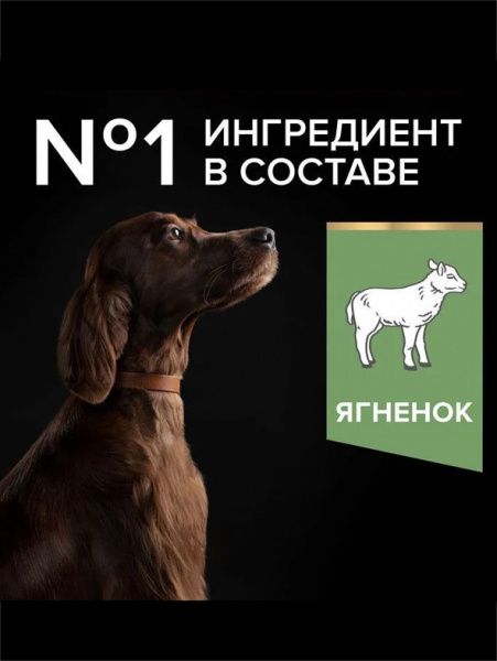 Pro Plan Large Athletic Adult Sensitive Digestion купить в ZooKorm24.ru
