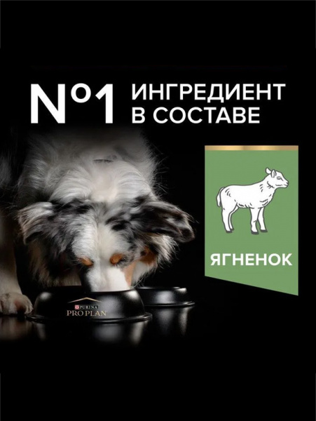 Pro Plan Medium Adult Sensitive Digestion купить в ZooKorm24.ru
