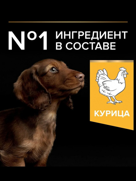 Pro Plan Small&Mini Puppy Healthy Start  купить в ZooKorm24.ru

