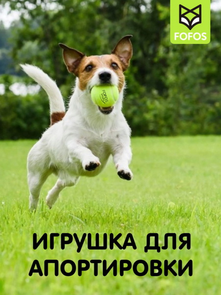 Fofos Набор теннисные мячики для собак (2 шт.)