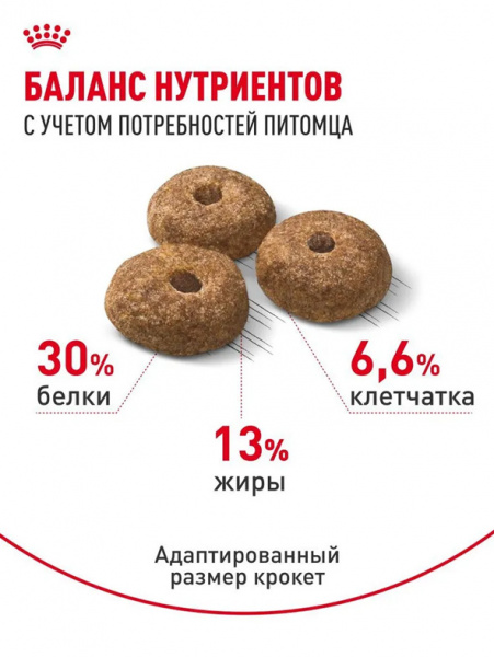 Royal Canin Mini Sterilised купить в ZooKorm24.ru
