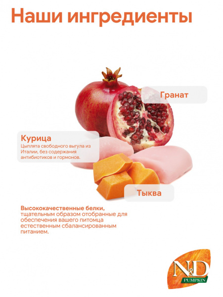 Farmina N&D Pumpkin Dog Grain Free Adult Medium&Maxi купить в ZooKorm24.ru

