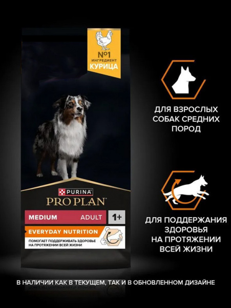 Pro Plan Medium Adult Everyday Nutrition купить в ZooKorm24.ru
